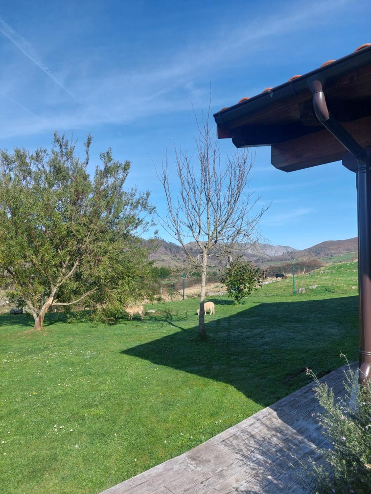 Apartamento Fuente El Güeyu Onís Exterior foto